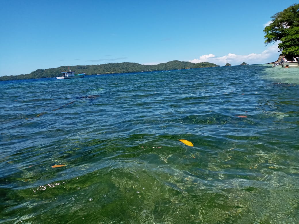 Package Diving/ Snorkeling In Mendaku and Dakupang Island 3 Days 2 night (Fullboard)